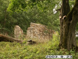 Zasinyciu_a_kupi_zasiny_106-7eb1c9219f5606ed0a220fc3274b6418.JPG