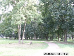 Zeimiu_a_jona_zeim_004-128e29d6901594b3e5e6dc08b35c4cee.JPG