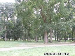 Zeimiu_a_jona_zeim_092-5bc245cf756c8374ca8457b44aaa43cb.JPG