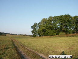 Zeltiskiu_a_mole_zelti_003-82c0fc1f6179f0224368430bd3d35b8a.jpg