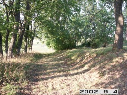 Zeltiskiu_a_mole_zelti_010-37f4b066c4c4558c432428f4d1706c0f.jpg
