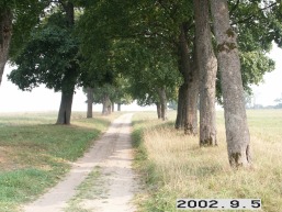 Zizmaukos-Zizmavos_a_mole_zizma_004-4fc780c07cfc71082a971266fb4eaa53.jpg