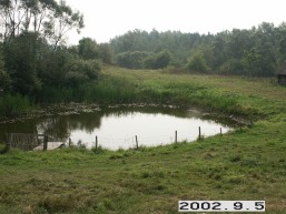 Zizmaukos-Zizmavos_a_mole_zizma_014-665cec9f67ea9d2cbe4926a0aece8af1.jpg