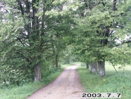 Zudiskiu_a_viln_zudis_059-332112164f831b6bbd4f3277369a79eb.JPG